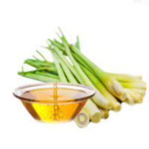 Lemongrass Oil Exporters, Wholesaler & Manufacturer | eximnext.com
