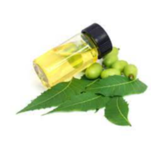 Neem Oil Exporters, Wholesaler & Manufacturer | eximnext.com
