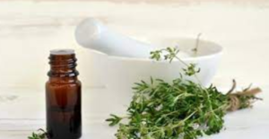Thyme Oil Exporters, Wholesaler & Manufacturer | eximnext.com