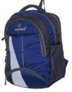 School Bags Exporters, Wholesaler & Manufacturer | eximnext.com