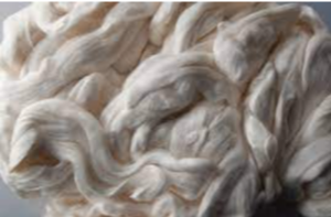 Cellulose Fiber Exporters, Wholesaler & Manufacturer | eximnext.com