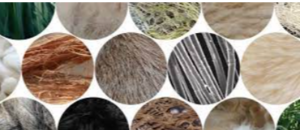 Other - Fabric and Raw Material Exporters, Wholesaler & Manufacturer | eximnext.com