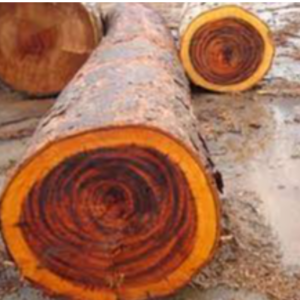 Rose Wood Exporters, Wholesaler & Manufacturer | eximnext.com