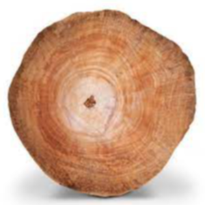 Teak Wood Exporters, Wholesaler & Manufacturer | eximnext.com