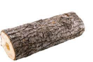 Wood Logs Exporters, Wholesaler & Manufacturer | eximnext.com