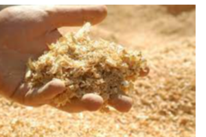 Wood Pulp Exporters, Wholesaler & Manufacturer | eximnext.com