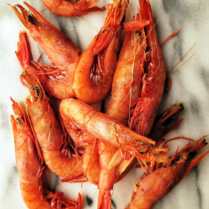 resources of Red Shrimps exporters