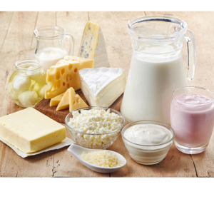 resources of Dairy Products exporters
