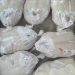 resources of Frozen Chicken Whole exporters
