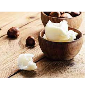 resources of Shea butter (For pomadeand medicine) exporters