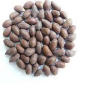 resources of Cotton seeds exporters