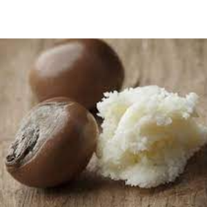 resources of Shea Butter exporters