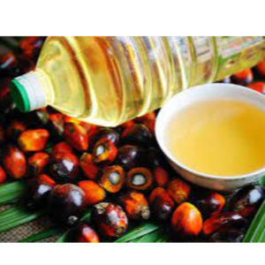 resources of Palm Oil exporters