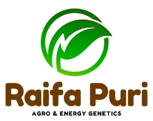 Raifa Puri Enterprise