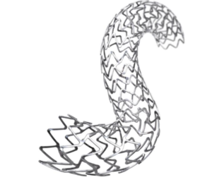 resources of Boston Scientific Promus ELITE Stent 3.5MM X 16MM exporters