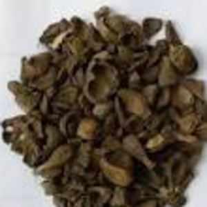 resources of PALM SHELL exporters