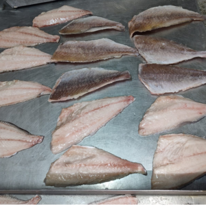 resources of Frozen fish Morocco exporters