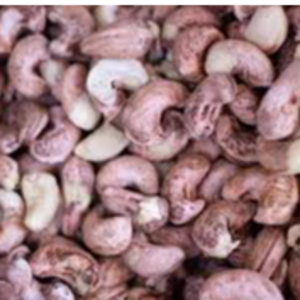 resources of Cashew exporters
