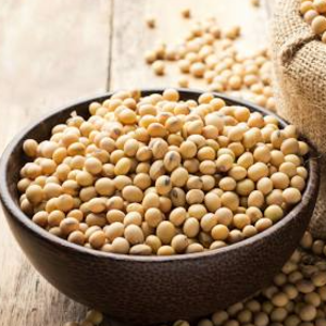 resources of Soybean exporters