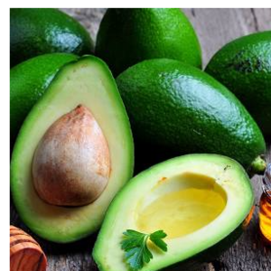 resources of Avocat exporters