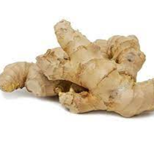 resources of Ginger exporters
