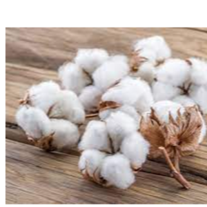 resources of Cotton exporters