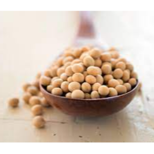 resources of Soybeans exporters