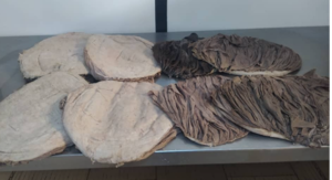 resources of Beef Omasum exporters