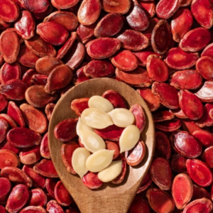 resources of Red Watermelon Seeds /Quality Red  Watermelon Seeds For Sale exporters