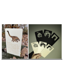 resources of Shadow fairytales - educational toy exporters