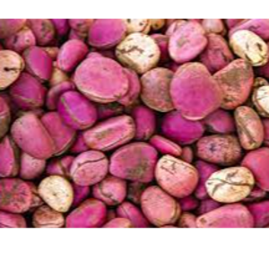resources of Kolanut exporters
