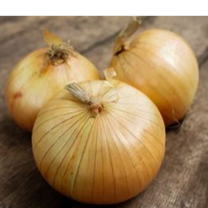 resources of onions exporters